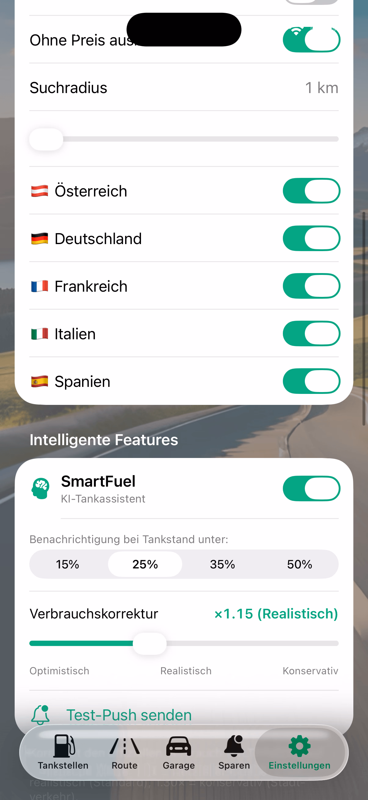 Settings — language, fuel type, privacy